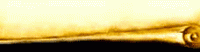 Perg bottom 2